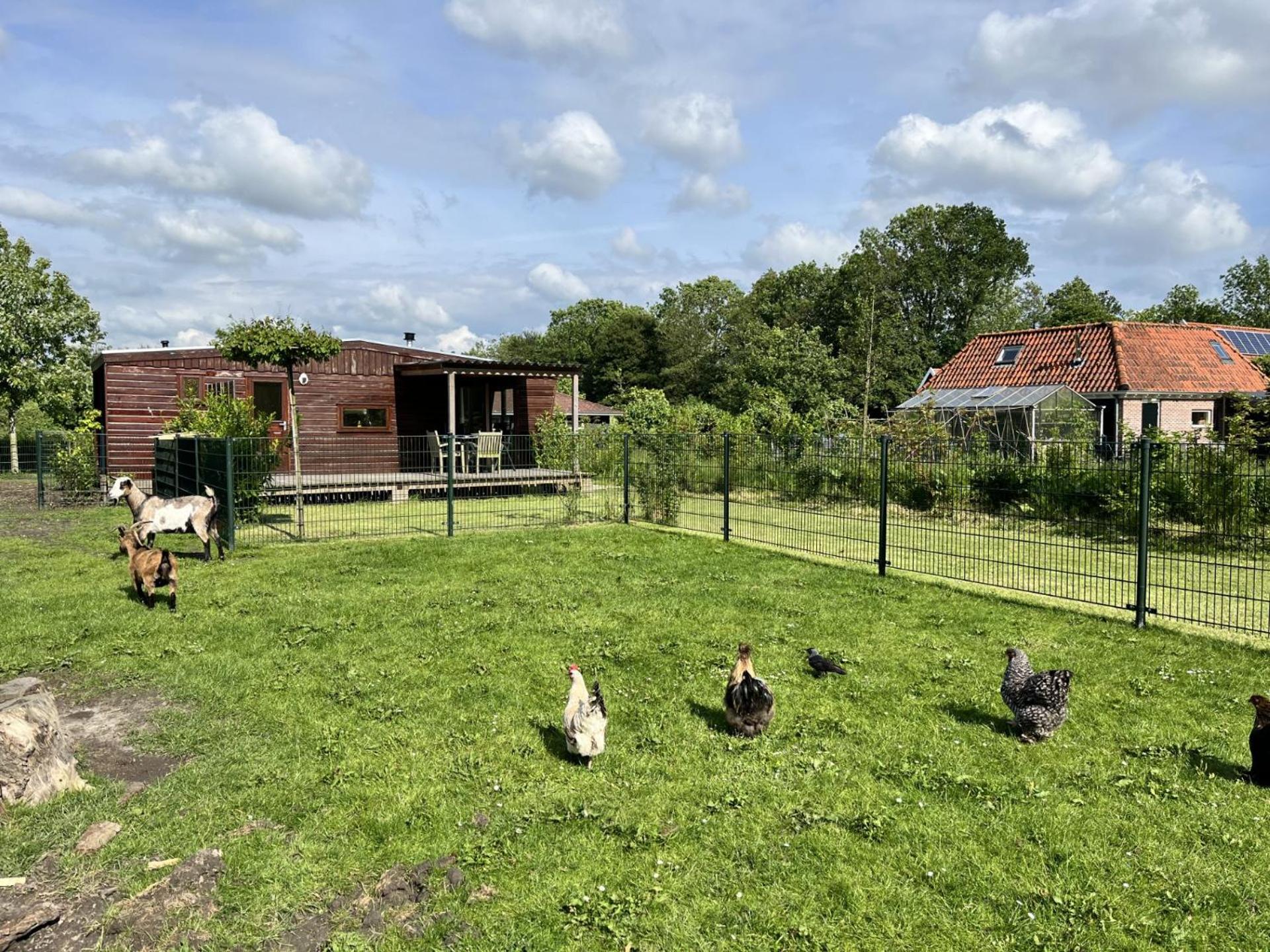 Vrijstaand Chalet Met Veel Buitenruimte En Veranda Zuid-Scharwoude Exterior photo